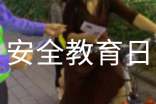 全國中小學生安全教育日口號大全