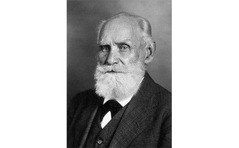 ���͸�����æ�����x���Pӛ