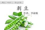 剝豆的感悟作文