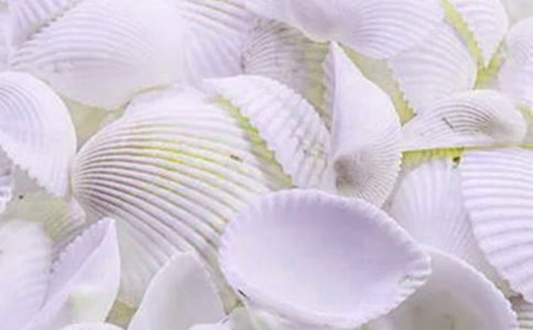 ؐ�������\����ƪ