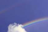 雨后彩虹征文