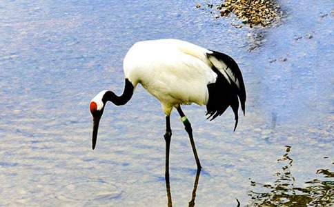 ����Q����400��8ƪ