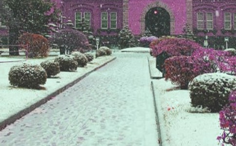 ���Lѩ��Ԓ�}������