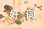 感情的好詞佳句