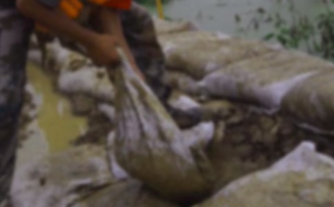 ��Ѵ�����������Z