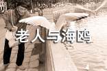 讀《老人與海鷗》有感通用