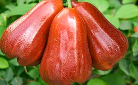 �����������ɏ�F����x��