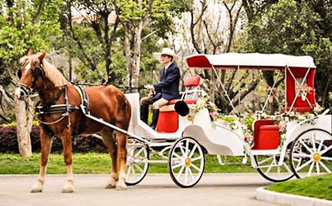 �����ǝ�s�r����R܇����