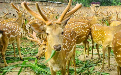 ���P÷��¹ͯԒ����3ƪ