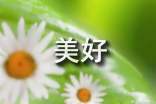 生活美好的句子