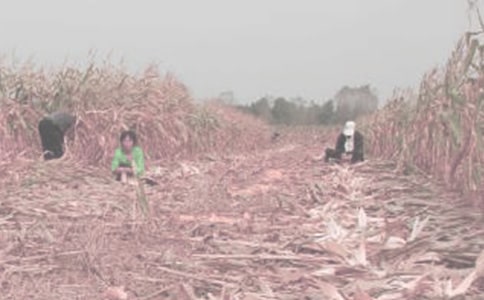 ��һ�θ��r������4ƪ