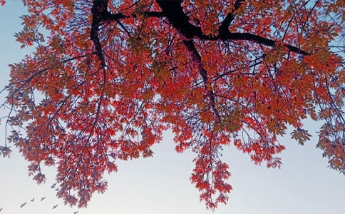 �������~����