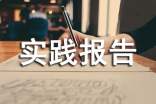 優選暑假社會實踐報告書