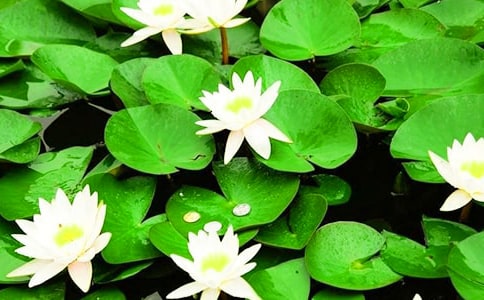 �茑˯ɏ������4ƪ