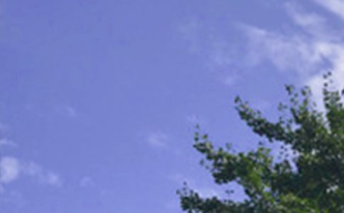 ���P���������簲�Z䛅R��35�l