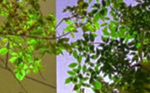 �����á�2024�����������簲�Z䛅R��90�l