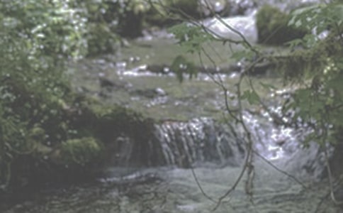 �P���xСϪ���ĸ��и�����1000��