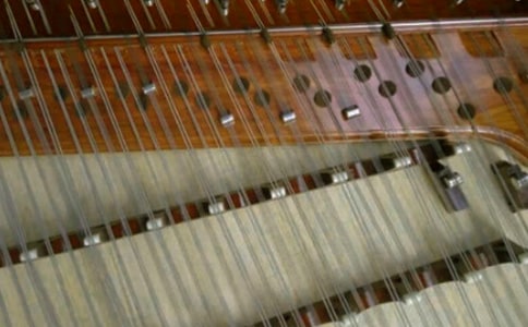 �P�������ֵ���N�Q�ַ���