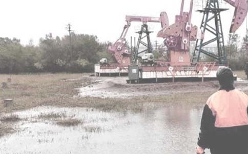 油田個人工作總結