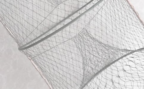 巨大的漁網三年級作文