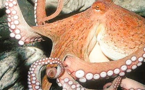 �P�����~������200��