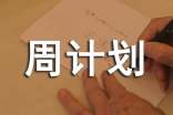 企業庫管周計劃怎么寫通用