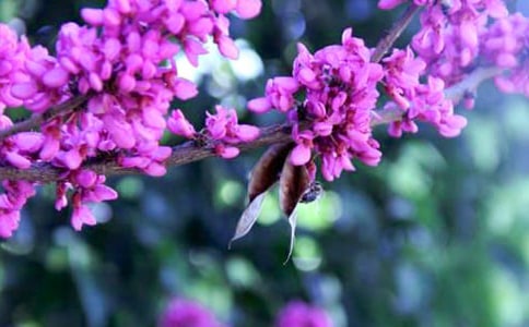 ���G������700��