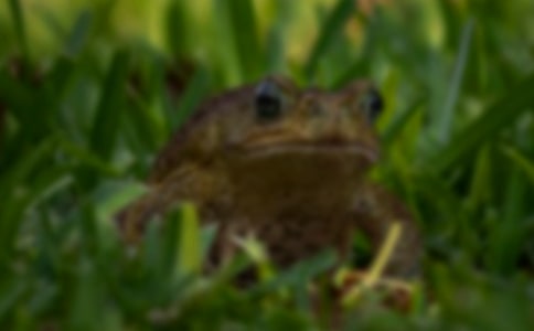 ��ܵ��Bֳ���g