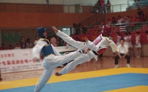 跆拳道之龍英集訓作文400字