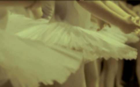 �茑����������ķ���