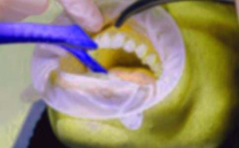 �������v����600��10ƪ