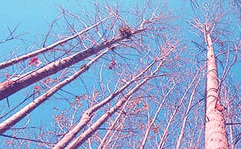 �ח�Yٝ�̰��OӋ�����x10ƪ��