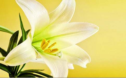 �ٺϻ�Ȥ������