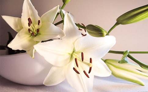 �������ϵİٺϻ��_���x��У����x36ƪ��