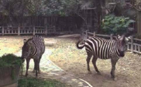 ��ɫ���R����