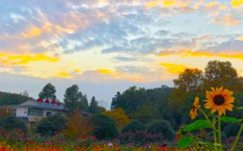 �茑ż����������������