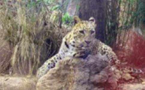 �����A����������500����ƪ