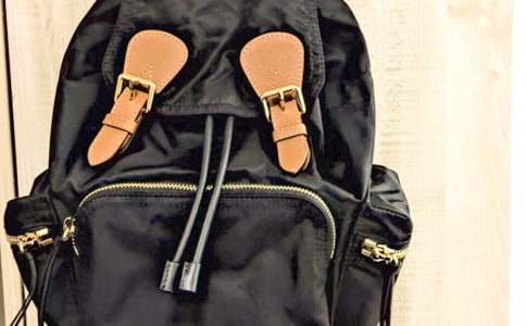 背包作文600字八篇