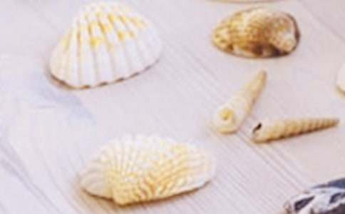 �����]��ӛ��ؐ���е�СŮ������