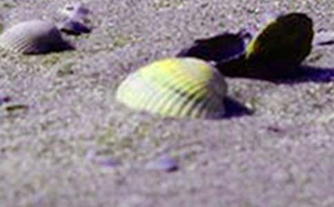 �P��ؐ��������700��