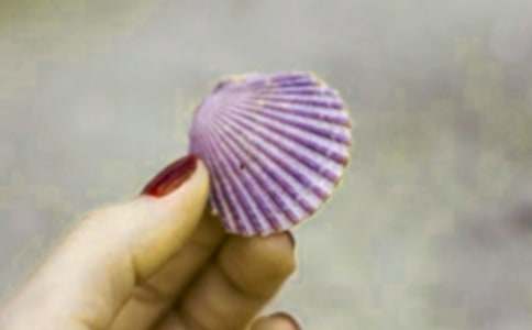 ������ؐ������