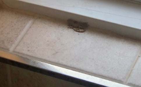 С�W���ģ��^��ڻ�