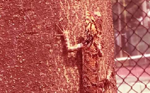 �^��ڻ��o�ҵĆ�ʾ����