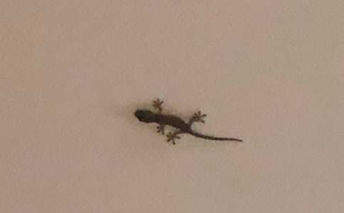 ���^��ڻ�����