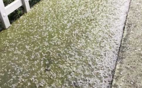 �����á���������300��4ƪ