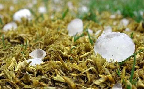 ��������600��6ƪ