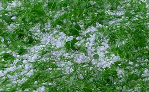 ̫�,���������һ����