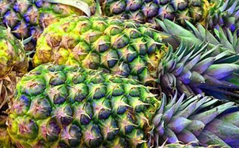 菠蘿作文400字(通用23篇)