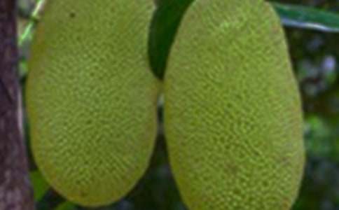 �����}�ۡ���x��������