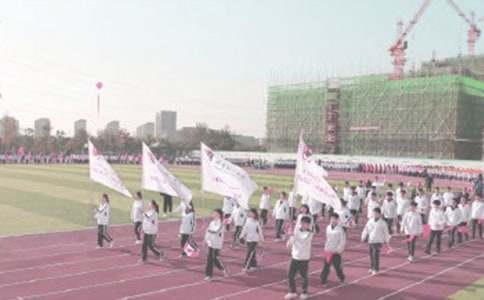 ��Ŀ���𲽲�������